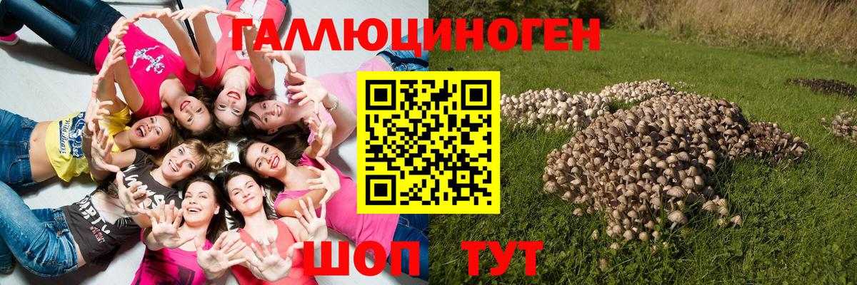 Реутов  Галлюциногенные грибы Magic Shrooms  Вход с VPN 