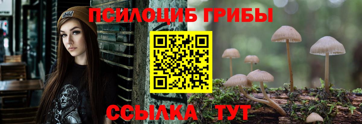 Псилоцибиновые грибы Magic Shrooms Реутов